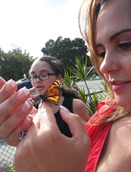 Butterfly release for memorial service in Boynton Beach Florida.